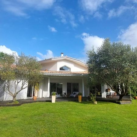 Agreable Maison Sur Le Bassin D'Arcachon Andernos-les-Bains Buitenkant foto